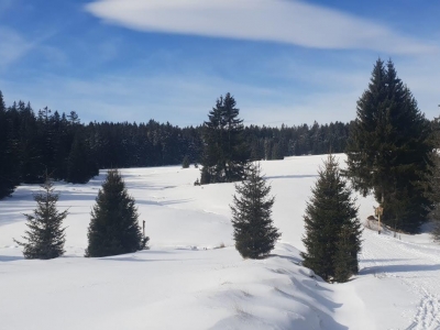 Šumava under the snow