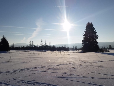 Winter on Lipno