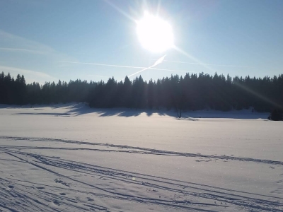 On the Lipno ice