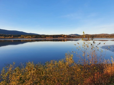 Lipno lake