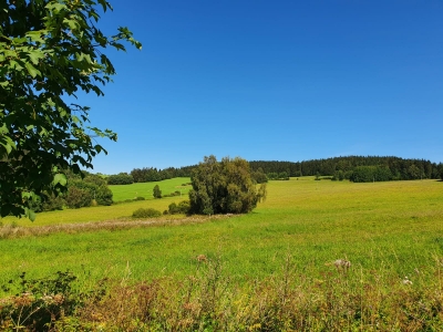 Šumava nature