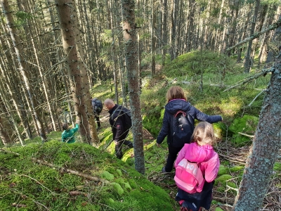 Nationl Park Šumava