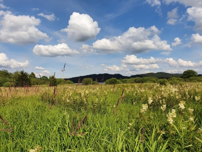 Lake Lipno