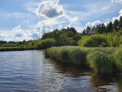 Lipenská zátoka