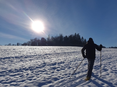 Cross-country skiing in Lipno