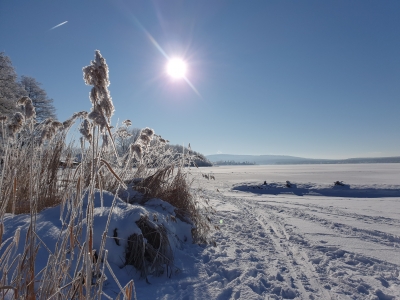 Winter holiday in Lipno